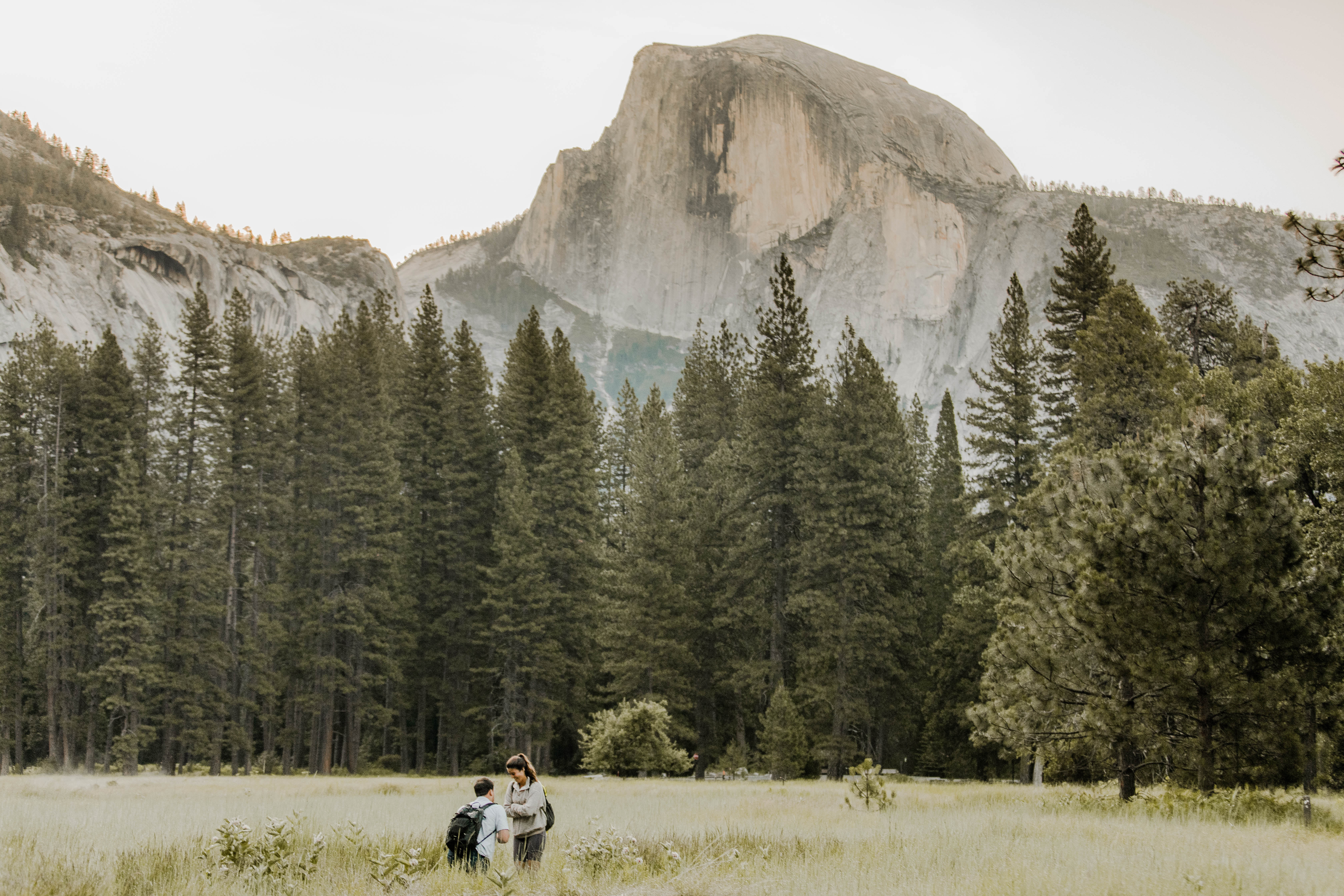 Man down on one knee proposing to his girlfriend in yosemite national park