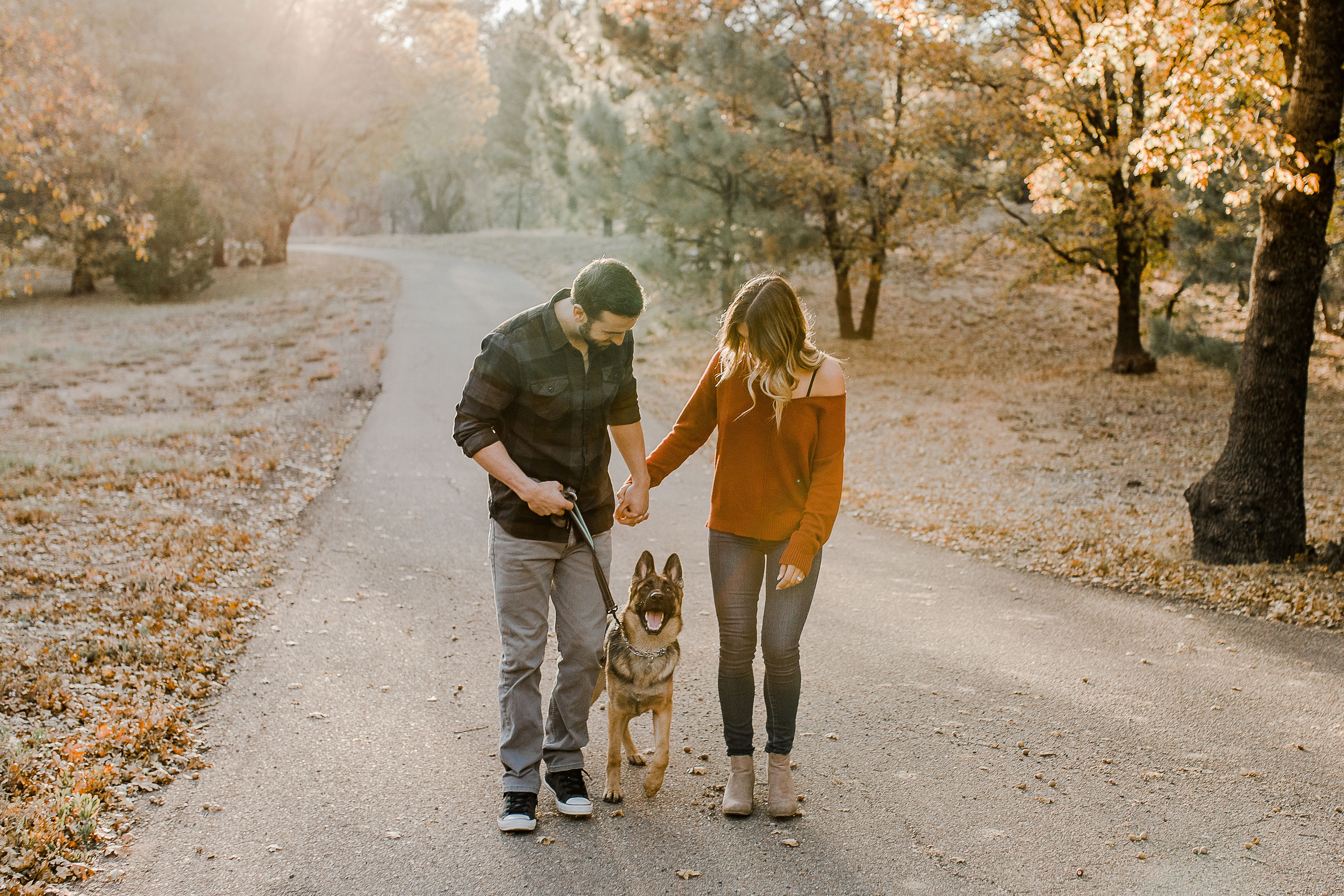 man and woman take pictures with their german shepherd during their Julian Fall Time Couples Session