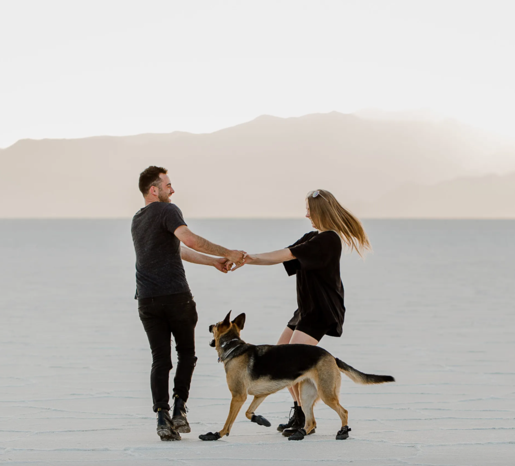 photo of a dog hanging out in the bonneville salt flats. one of the funnest things to do in utah is taking your dog to the bonneville speedway!