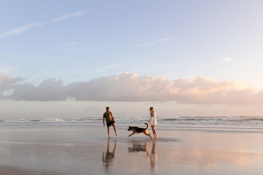 photo of a man, woman, and a german shepherd dog running on the beach during sunset in saint augustine fl in the photo you can see the reflection of the dog and the water shimmering light across the golden sand at crescent beach in saint augustine FL